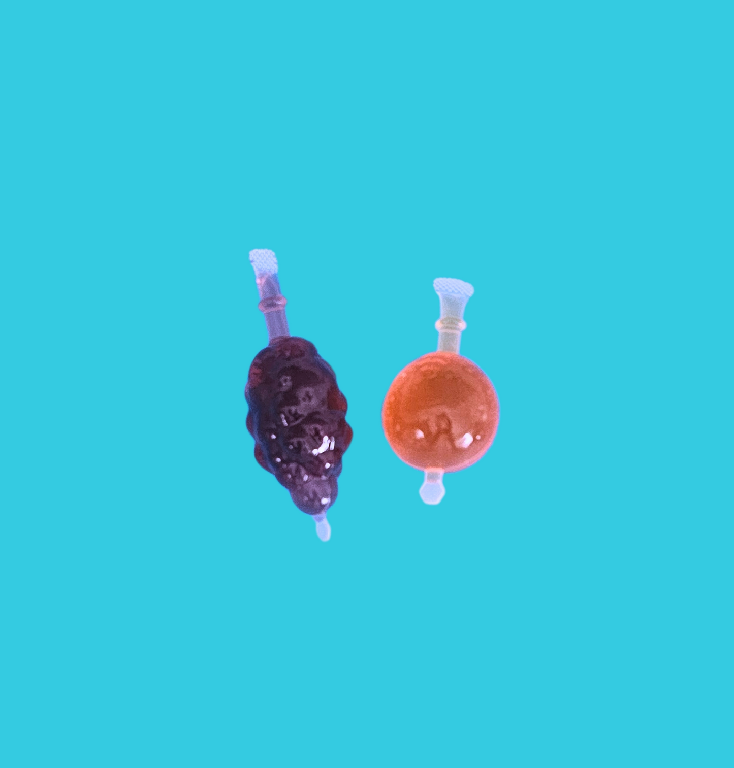 Jelly Bite